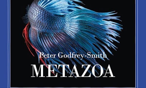 Peter Godfrey-Smith, Metazoa, Adelphi