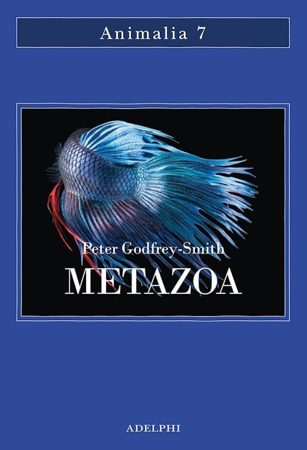 Peter Godfrey-Smith, Metazoa, Adelphi
