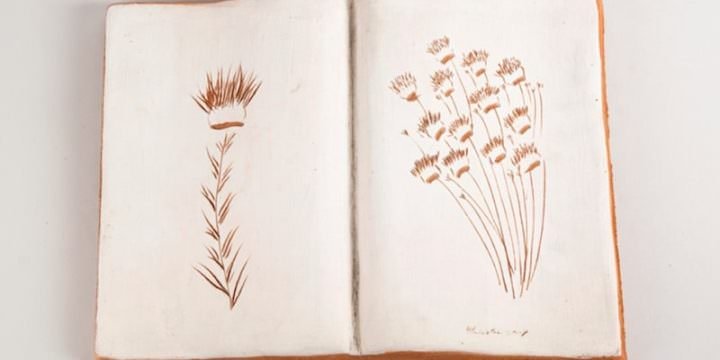 Ugo La Pietra, Erbario