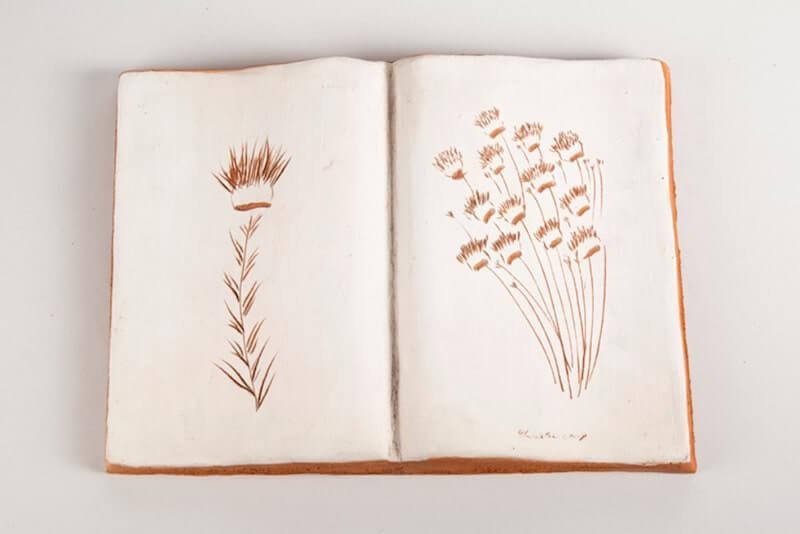 Ugo La Pietra, Erbario