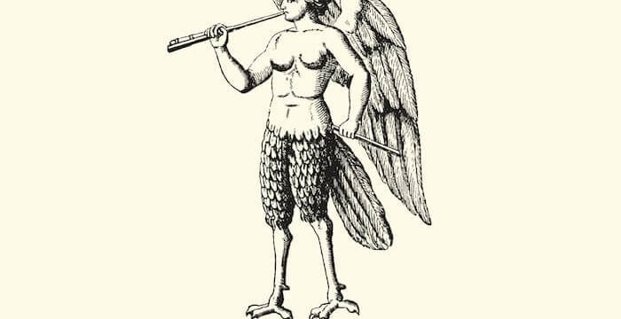 Paolo Ciampi, Anatomia del ritorno, Italo Svevo Edizioni