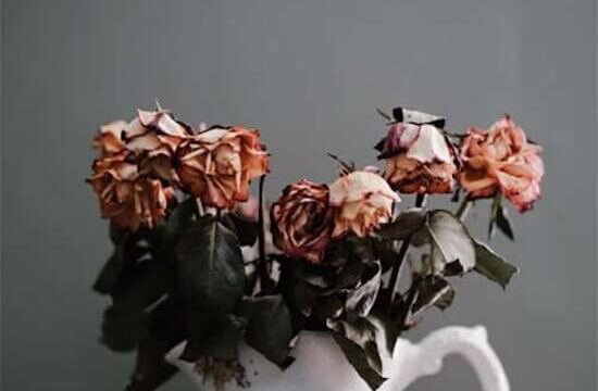 Marco Candida, I 69 giorni, Autori Riuniti