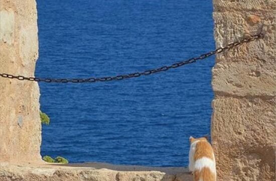 Marco Grassano, Impressioni cretesi, Tarka