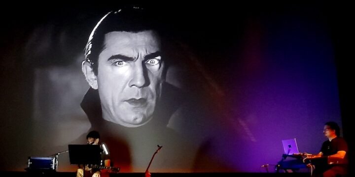 Massimo Zamboni suona dal vivo durante la proiezione del film "Dracula" al Cinema Mexico di Milano. Foto di Saul Stucchi