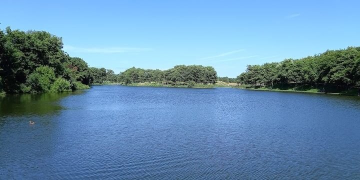 Laghetto sull'isola di Ameland
