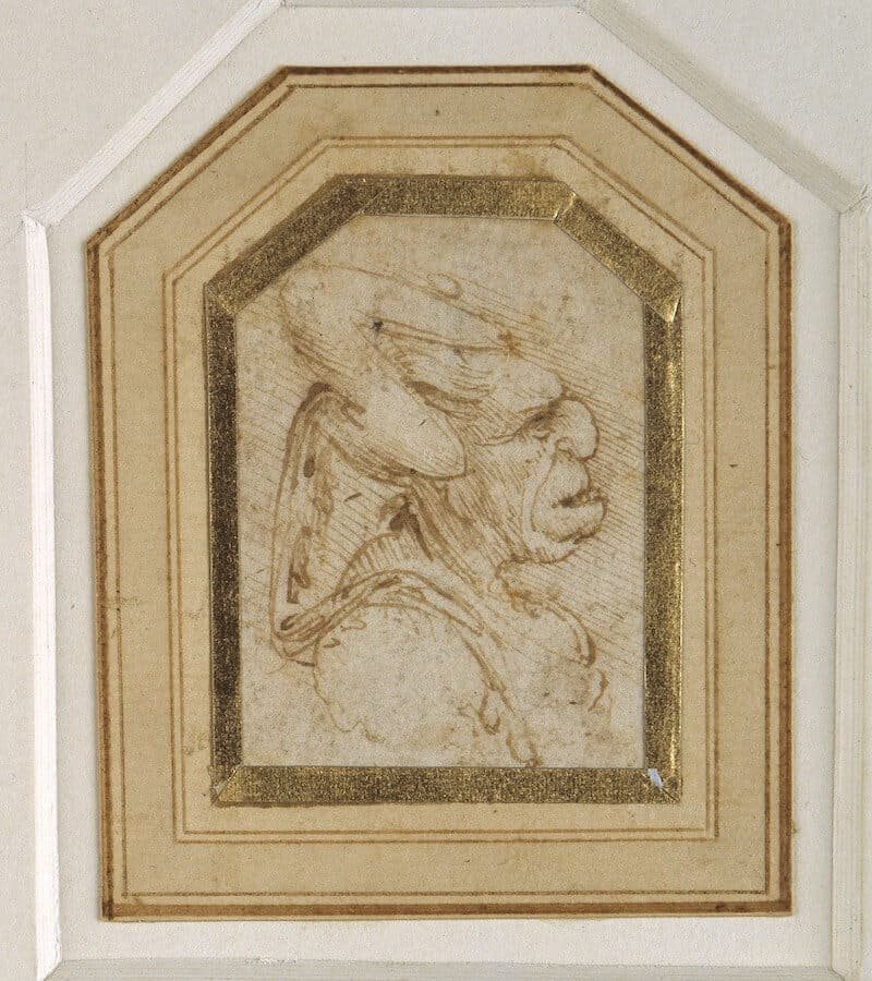 Leonardo da Vinci, Testa grottesca (1495-1505 circa). © The Devonshire Collections, Chatsworth. Reproduced by permission of Chatsworth Settlement Trustees