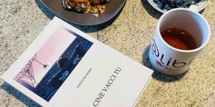 "Al cine vacci tu", la raccolta delle prime cento recensione cinematografiche di Luigi Di Silvestro per ALIBI Online