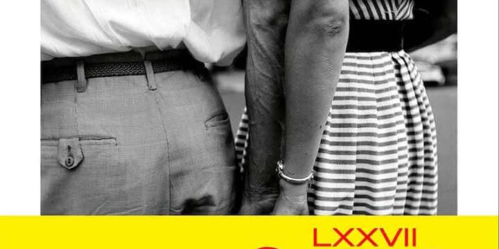 Maria Grazia Calandrone, Dove non mi hai portata, Einaudi (dettaglio della copertina)