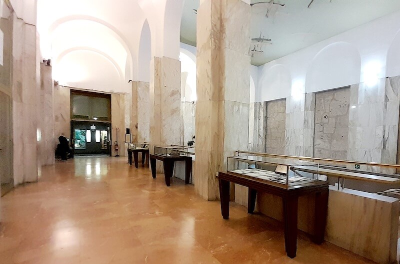 Mostra di Stefano Faravelli al Museo di Storia Naturale di Milano