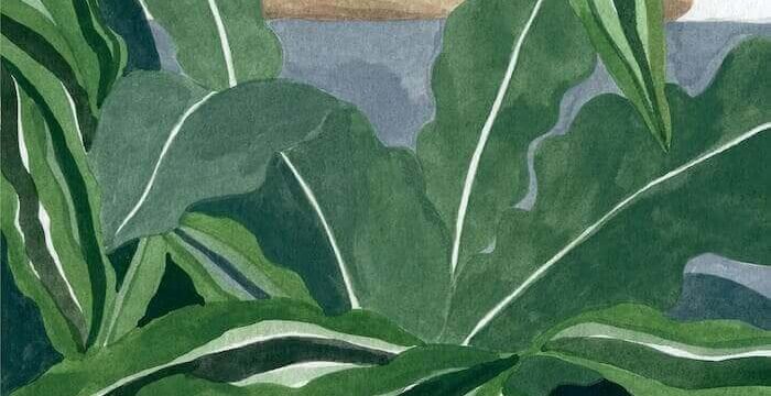 Jan Brokken, La suite di Java, Iperborea