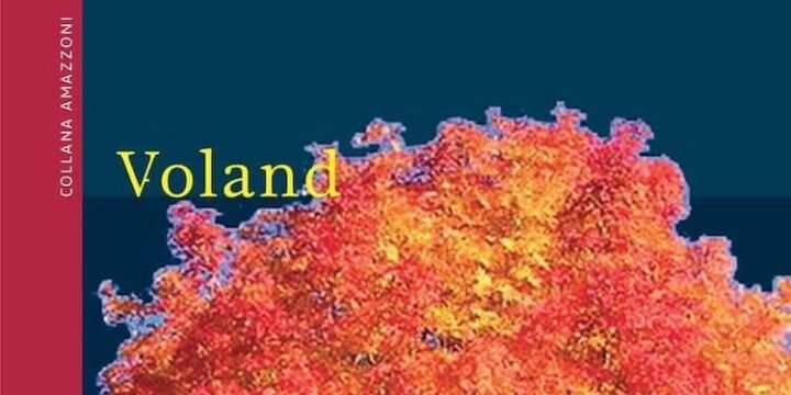 Antje Rávik Strubel, Donna blu, Voland