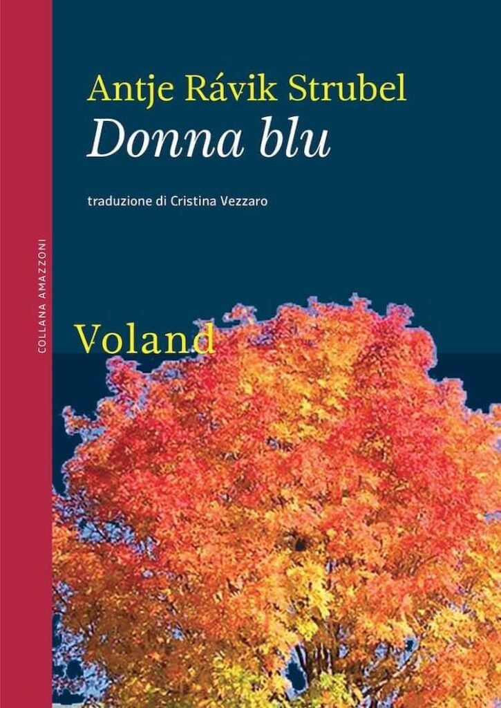 Antje Rávik Strubel, Donna blu, Voland