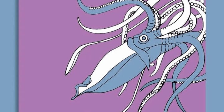 Arkadij Strugatskij e Boris Strugatskij, La favola della Trojka, Ronzani Editore