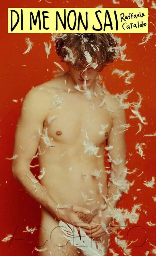 Raffaele Cataldo, Di me non sai, Accento Edizioni