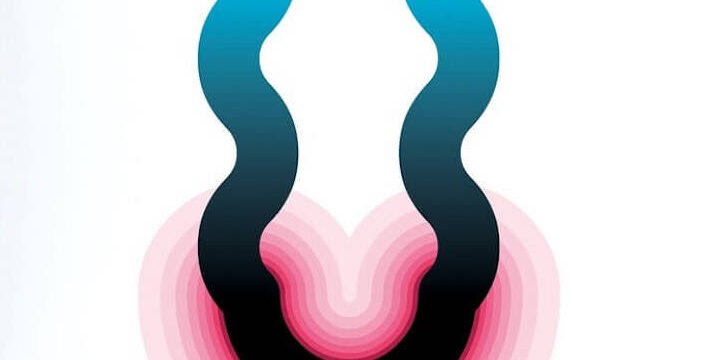 Thomas W. Laqueur, Sesso solitario. Storia culturale della masturbazione, il Saggiatore (dettaglio della copertina)