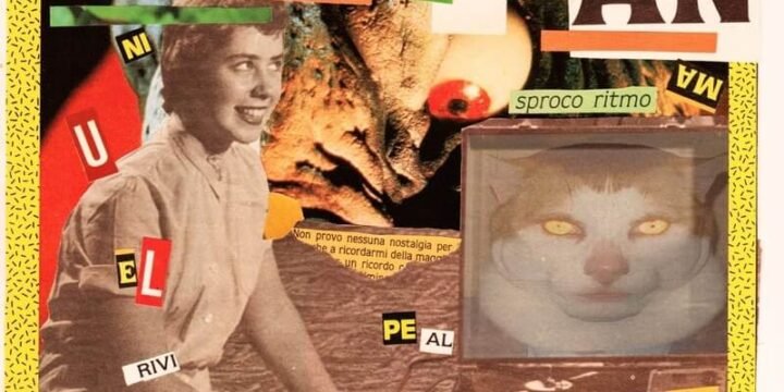 “Brainrottingan”, il primo disco dei Brautigan