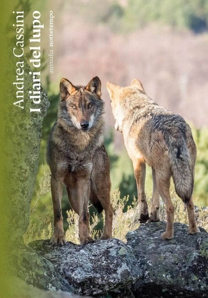 Andrea Cassini, I diari del lupo, Nottetempo